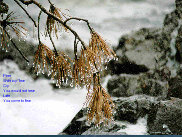bayniche002.jpg
