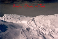 Showing: Winter Shade of Pale