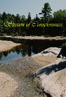 Showing: Stream of Consciousness