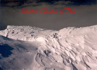 Showing: Winter Shade of Pale